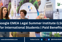 Google EMEA Legal Summer Institute (LSI) for International Students | Paid Benefits - ScholarWaka