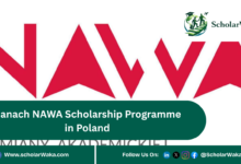 Banach NAWA Scholarship Programme in Poland | Fully Funded - ScholarWaka