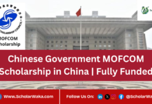Chinese Government MOFCOM Scholarship in China | Fully Funded - ScholarWaka