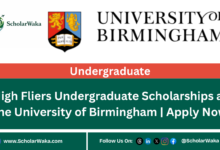 High Fliers Undergraduate Scholarships at the University of Birmingham | Apply Now - ScholarWaka