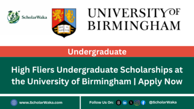 High Fliers Undergraduate Scholarships at the University of Birmingham | Apply Now - ScholarWaka