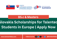 Slovakia Scholarships for Talented Students in Europe | Apply Now - ScholarWaka