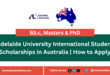 Adelaide University International Student Scholarships in Australia | How to Apply - ScholarWaka