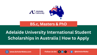 Adelaide University International Student Scholarships in Australia | How to Apply - ScholarWaka