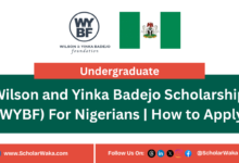 Wilson and Yinka Badejo Scholarship (WYBF) For Nigerians | How to Apply - ScholarWaka