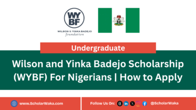 Wilson and Yinka Badejo Scholarship (WYBF) For Nigerians | How to Apply - ScholarWaka