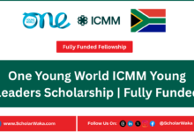 One Young World ICMM Young Leaders Scholarship | Fully Funded - ScholarWaka
