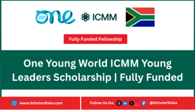 One Young World ICMM Young Leaders Scholarship | Fully Funded - ScholarWaka
