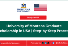 University of Montana Graduate Scholarship in USA | Step-by-Step Process - ScholarWaka