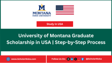 University of Montana Graduate Scholarship in USA | Step-by-Step Process - ScholarWaka