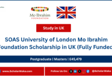 SOAS University of London Mo Ibrahim Foundation Scholarship in UK (Fully Funded) - ScholarWaka