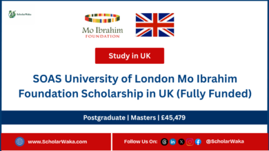 SOAS University of London Mo Ibrahim Foundation Scholarship in UK (Fully Funded) - ScholarWaka