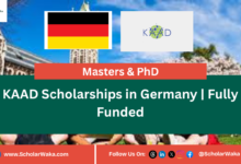 KAAD Scholarships in Germany | Fully Funded - ScholarWaka
