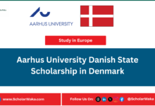 Aarhus University Danish State Scholarship in Denmark | Fully Funded - ScholarWaka