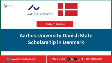 Aarhus University Danish State Scholarship in Denmark | Fully Funded - ScholarWaka