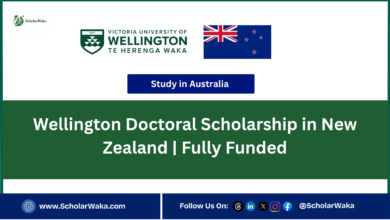 Wellington Doctoral Scholarship in New Zealand | Fully Funded - ScholarWaka