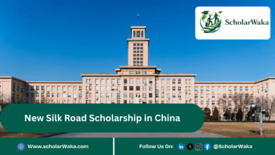 New Silk Road Scholarship in China | How to Apply - ScholarWaka