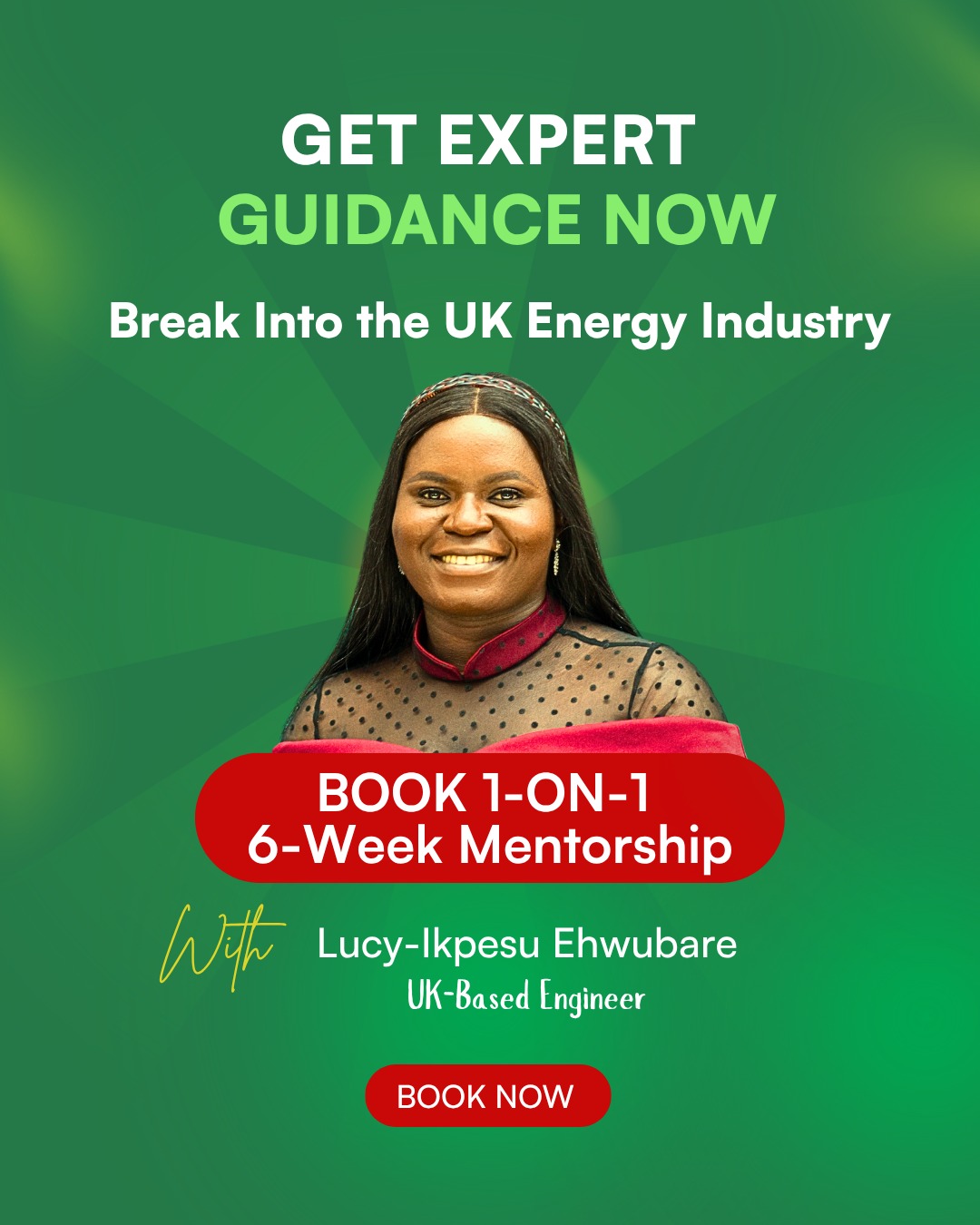 Break Into the UK Energy Industry With 6-Week 1-on-1 Mentorship Image