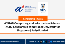 A*STAR Computing and Information Science (ACIS) Scholarship at National University of Singapore | Fully Funded - ScholarWaka