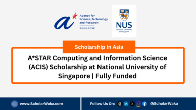 A*STAR Computing and Information Science (ACIS) Scholarship at National University of Singapore | Fully Funded - ScholarWaka