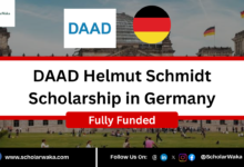 DAAD Helmut Schmidt Scholarship 2027 in Germany | Fully Funded - ScholarWaka