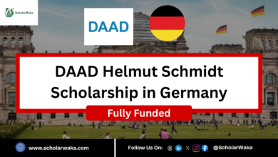 DAAD Helmut Schmidt Scholarship 2027 in Germany | Fully Funded - ScholarWaka