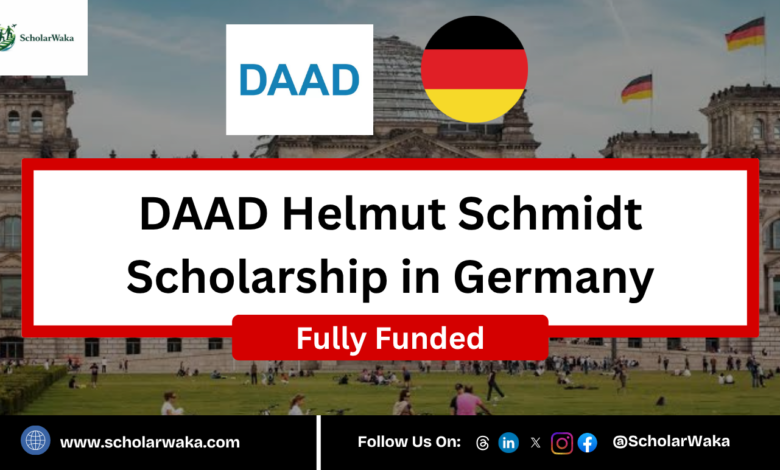 DAAD Helmut Schmidt Scholarship 2027 in Germany | Fully Funded - ScholarWaka