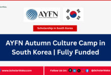 AYFN Autumn Culture Camp in South Korea | Fully Funded - ScholarWaka