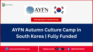 AYFN Autumn Culture Camp in South Korea | Fully Funded - ScholarWaka