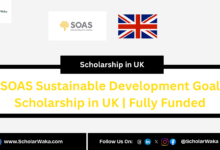 SOAS Sustainable Development Goal Scholarship in UK | Fully Funded - ScholarWaka