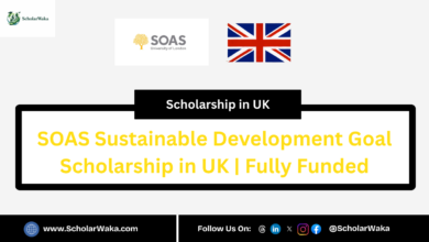 SOAS Sustainable Development Goal Scholarship in UK | Fully Funded - ScholarWaka