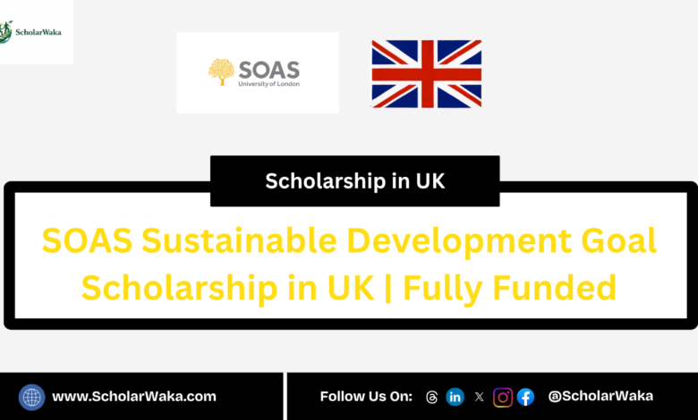 SOAS Sustainable Development Goal Scholarship in UK | Fully Funded - ScholarWaka