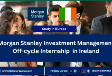 Morgan Stanley Investment Management Off-cycle Internship in Ireland | How to Apply - ScholarWaka