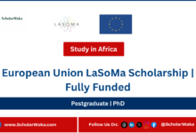 European Union LaSoMa Scholarship | Fully Funded - ScholarWaka