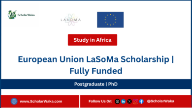 European Union LaSoMa Scholarship | Fully Funded - ScholarWaka