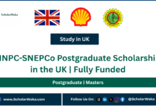 NNPC-SNEPCo Postgraduate Scholarship in the UK | Fully Funded - ScholarWaka