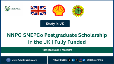NNPC-SNEPCo Postgraduate Scholarship in the UK | Fully Funded - ScholarWaka