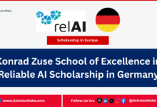 Konrad Zuse School of Excellence in Reliable AI Scholarship in Germany | How to Apply - ScholarWaka
