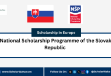 National Scholarship Programme of the Slovak Republic | How to Apply - ScholarWaka