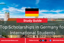 Top Scholarships in Germany for International Students - ScholarWaka