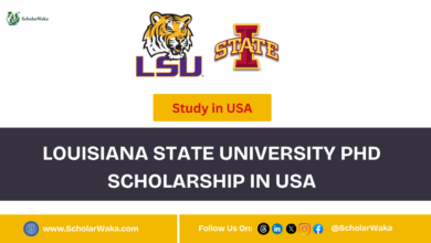 Louisiana State University PhD Scholarship in USA - ScholarWaka