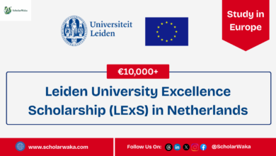 Leiden University Excellence Scholarship (LExS) in Netherlands | How to Apply - ScholarWaka