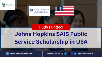 Johns Hopkins SAIS Public Service Scholarship in USA - ScholarWaka