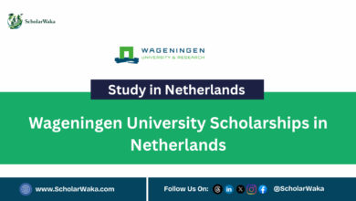 2027 Wageningen University Scholarships in Netherlands - ScholarWaka