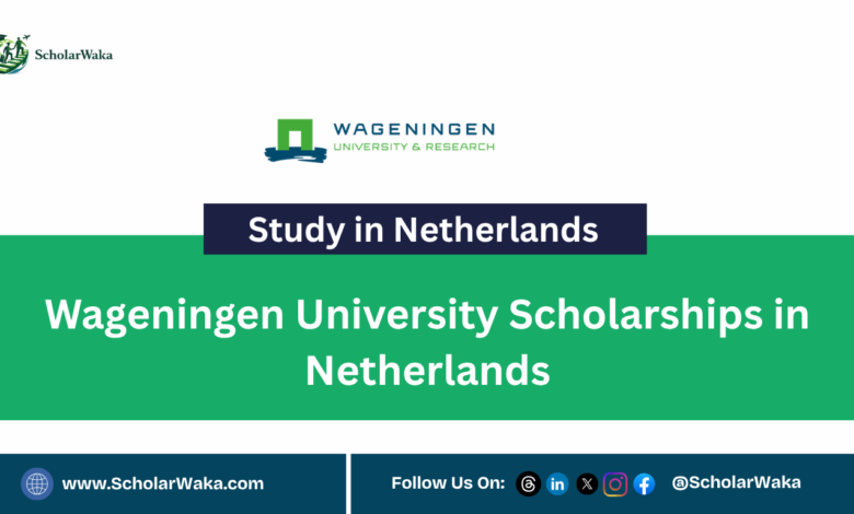 2027 Wageningen University Scholarships in Netherlands - ScholarWaka