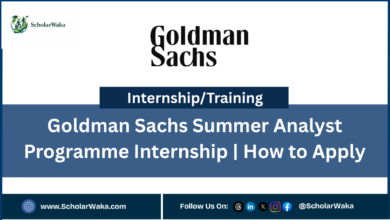 Goldman Sachs Summer Analyst Programme Internship | How to Apply - ScholarWaka