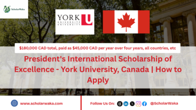 President's International Scholarship of Excellence - York University, Canada | How to Apply - ScholarWaka