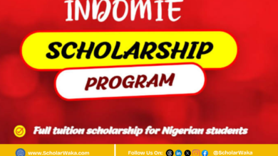 Indomie Scholarship Program for Undergraduates in Nigeria - ScholarWaka