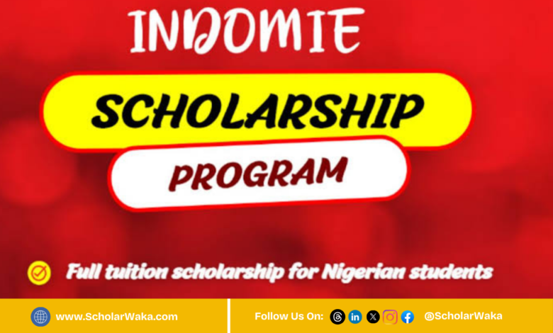 Indomie Scholarship Program for Undergraduates in Nigeria - ScholarWaka