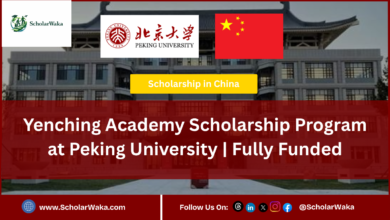 Yenching Academy Scholarship Program at Peking University | Fully Funded - ScholarWaka